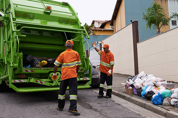 Best Shed Removal  in Big Bear Lake, CA